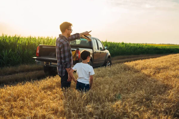 Father Son Examine Wheat Wheat Field — Stock fotografie