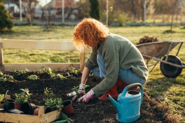 Yetişkin kadın bahçesinde bahçeyle uğraşıyor.