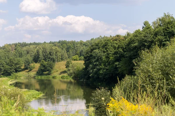 Sommerlandschaft — Stockfoto