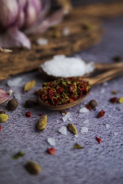 Ahşap kaşıkta kırmızı kurutulmuş kırmızı biber. Beyaz kaya tuzu, baharat ve sarımsak. Seçici odak.