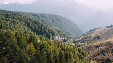 Yeşil tarlaların ve kozalaklı ormanların havadan görünüşü.