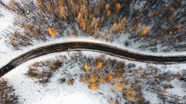 Kış ormanlarındaki ağaçların arasındaki dar kıvrımlı dağ yolunun havadan yüksek açılı görüntüsü. Karlı manzara, kuş bakışı manzara.