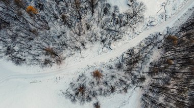 Karla kaplı dağ yolu ve kış ormanlarının havadan yüksek açılı manzarası. Kır yolu yolu, kuş bakışı..