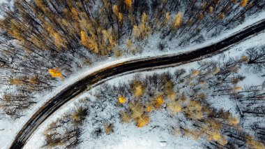 Kış ormanlarındaki ağaçların arasındaki dar kıvrımlı dağ yolunun havadan yüksek açılı görüntüsü. Karlı manzara, kuş bakışı manzara.