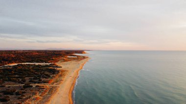 İtalya, Toskana 'da kıyı şeridi ve sonbahar bitkilerinin hava manzarası. Gün batımında kumlu sahil ve Ligurya denizi kuşbakışı. Drone fotoğrafçılığı.