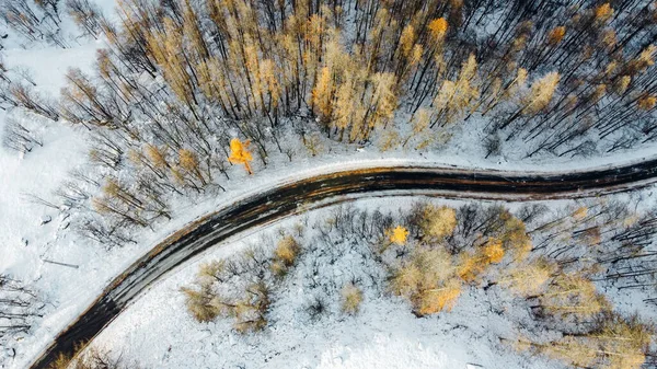 Kış ormanlarındaki ağaçların arasındaki dar kıvrımlı dağ yolunun havadan yüksek açılı görüntüsü. Karlı manzara, kuş bakışı manzara.