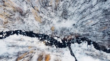Dağ nehri ve karların altındaki ağaçların havadan yüksek açılı görüntüsü. Kış manzarası, kuş bakışı. Soyut doğal arkaplan.