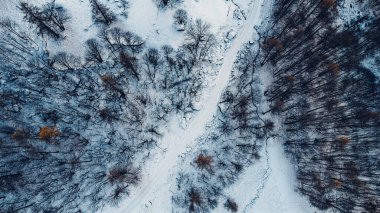 Karla kaplı dağ yolu ve kış ormanlarının havadan yüksek açılı manzarası. Kır yolu yolu, kuş bakışı..