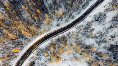 Kış ormanlarındaki ağaçların arasındaki dar kıvrımlı dağ yolunun havadan yüksek açılı görüntüsü. Karlı manzara, kuş bakışı manzara.