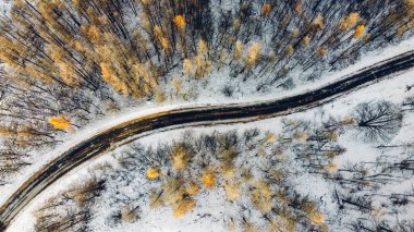 Dar virajlı yolun havadan yüksek açılı görüntüsü.