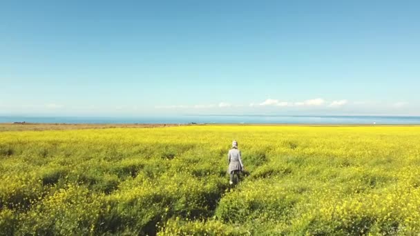 Вид Сзади Азиатской Туристки Гуляющей Цветочном Поле Канолы — стоковое видео