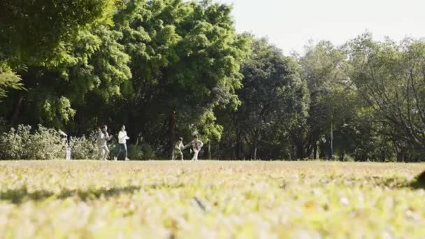 Feliz Asiático Família Com Duas Crianças Divertindo Livre Parque — Vídeo de Stock