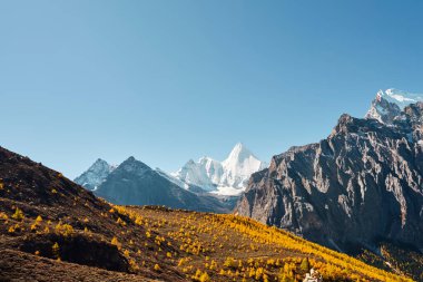 Yading, Daocheng County, Sichuan Eyaleti, Çin 'de Yangmaiyong (Tibet' te Jampayang) dağ zirvesi