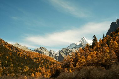 Yading Ulusal Parkı, Daocheng Bölgesi, Sichuan Bölgesi, Çin 'de dağ ve sonbahar yaprakları.