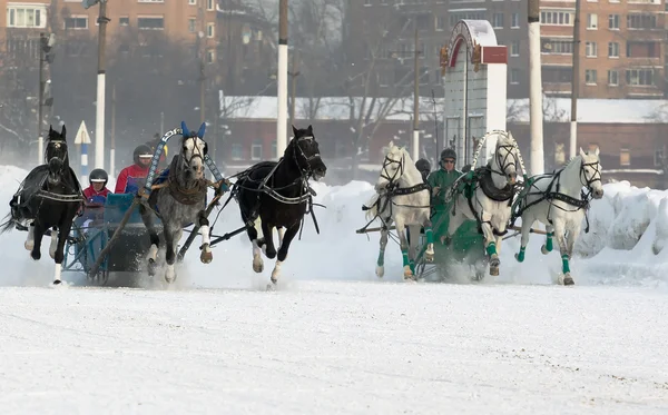 Horses competition — Stock Photo, Image