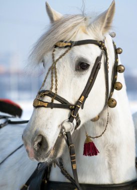 #muhafızlar#soldgers#askeri