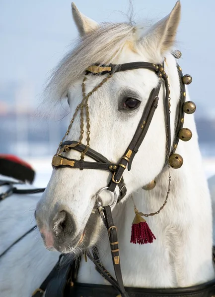 #muhafızlar#soldgers#askeri