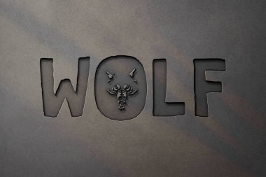 Kurt kelimesi ve kurt çizimi.