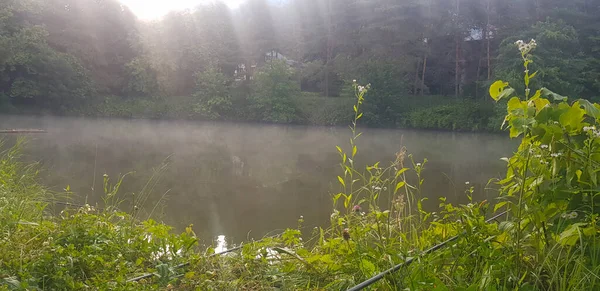 Göl ve ormanlı Ukrayna manzarası