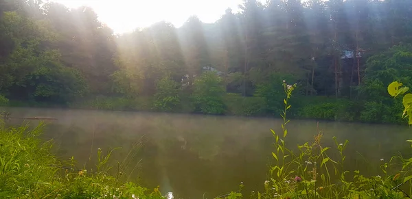 Göl ve ormanlı Ukrayna manzarası