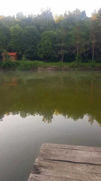 Озеро Лес Украине — стоковое фото