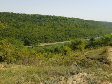  Ağaçlarla, dağlarla, nehirlerle dolu bir manzara.