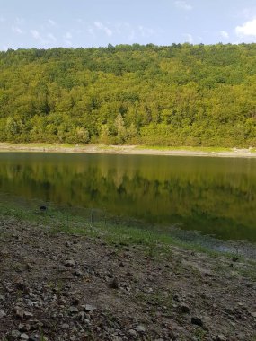  Ağaçlarla, dağlarla, nehirlerle dolu bir manzara.