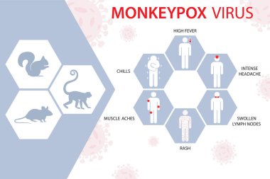 Maymun çiçeği virüsü, salgın virüs, virüs maymunlar, sincaplar, fareler gibi hayvanlardan yayılıyor. Maymun çiçeği belirtileri.