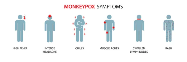 Симптоми Вірусу Віспи Мавпи Віспа Мавпи Поширюється Викликає Шкірні Інфекції — стоковий вектор