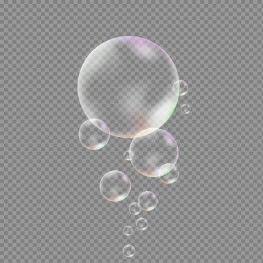 Transparent soap bubbles highlighted on a gray background. Vector soap bubble. Realistic soap bubble, glare. Foam bubbles. Powder, soap, detergent. Vector illustration.