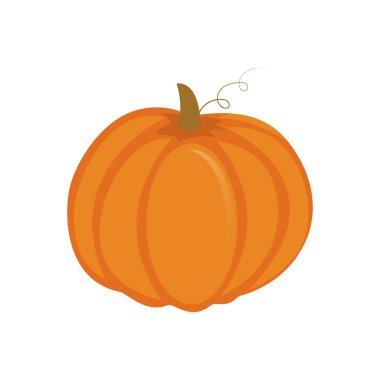 Beyaz arka planda taze balkabağı. Kış için hasat. Sonbahar hasadı