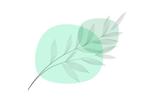 Asgari soyut arkaplan ve kontur kağıtları. Beyaz arkaplanda izole edilmiş soyut renk noktalarının arka planında yapraklar bulunan kontur dalı