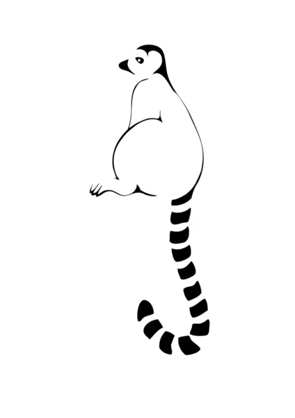 Sitting lemur — Stock Vector