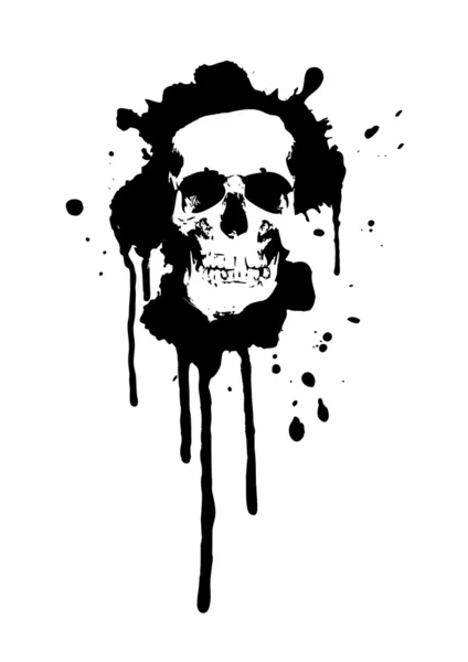 Skull — Stock Vector