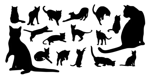 Silhouettes de chat — Image vectorielle