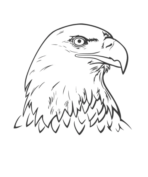 Aigle — Image vectorielle