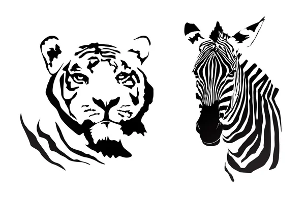 Tigre e zebra — Vetor de Stock