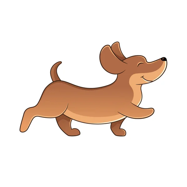 Walking Dachshund Happy Dog Illustration — Stock Vector