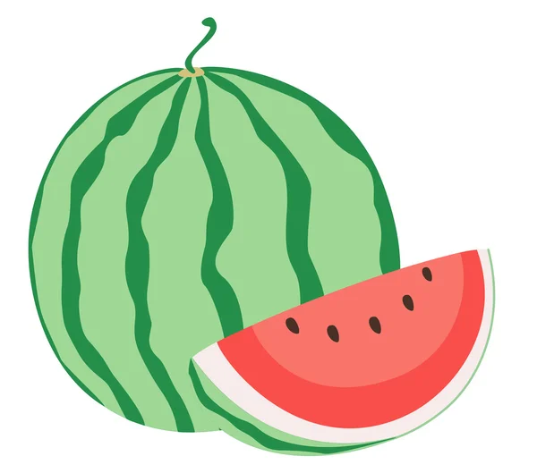 Wassermelone — Stockvektor