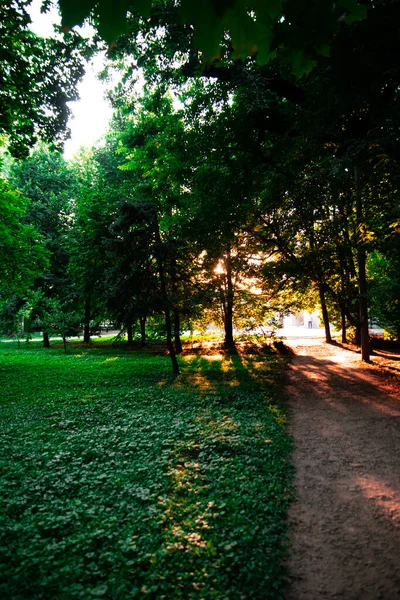 Bench Spring Park — Stock Photo, Image