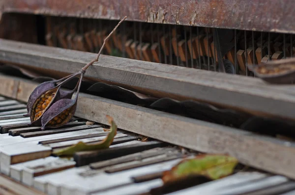 Old abandoned piano Stock Photo