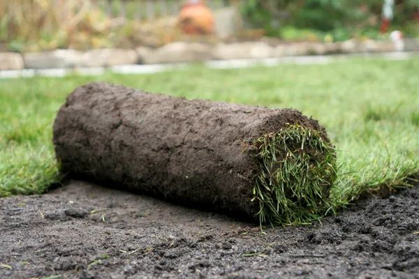 Rollende gazon — Stockfoto