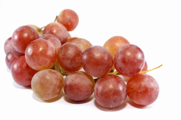 Bunch of grapes — Stock Photo, Image