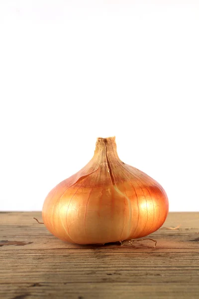 Zwiebelzwiebel — Stockfoto