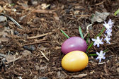 velikonoční vajíčka na zahradě