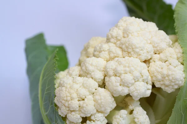 Cauliflower — Stock Photo, Image