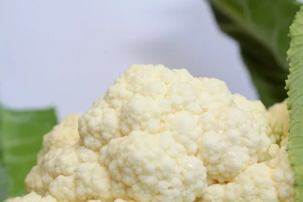 Cauliflower — Stock Photo, Image