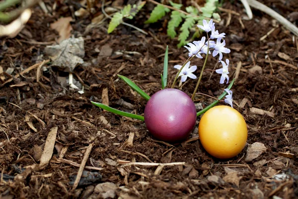 Ovos de Páscoa no jardim — Fotografia de Stock