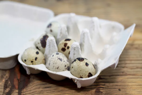 Huevos de codorniz en cartón — Foto de Stock