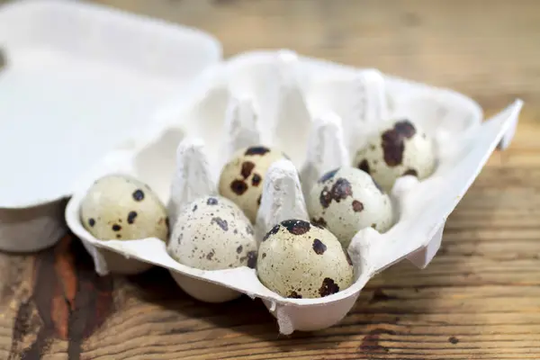 Bıldırcın yumurta karton yumurta — Stok fotoğraf